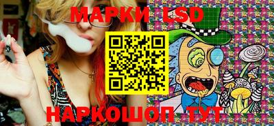 спиды Гатчина