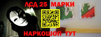 спиды Гатчина