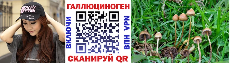 кракен ссылки  Фрязино  Галлюциногенные грибы Psilocybine cubensis  продажа наркотиков 