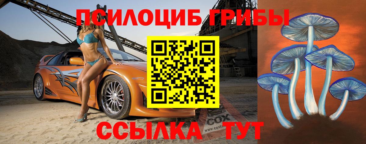 Псилоцибиновые грибы прущие грибы Фрязино